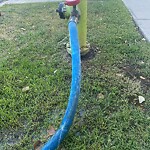 Fire Hydrant Concerns at 318 7 St NW