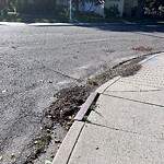 Catch Basin / Storm Drain Concerns at 1062 Regal Cr NE