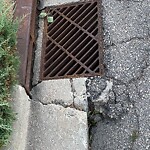 Catch Basin / Storm Drain Concerns at 258 Cranleigh Vw SE