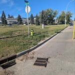 Catch Basin / Storm Drain Concerns at 3305 6 St NE