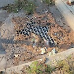 Catch Basin / Storm Drain Concerns at 1543 27 Av SW