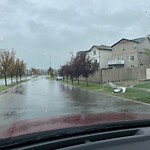 Catch Basin / Storm Drain Concerns at 1311 Panatella Bv NW