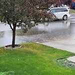 Catch Basin / Storm Drain Concerns at 250 River Rock Pl SE