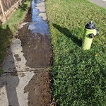 Fire Hydrant Concerns at 6615 Longmoor Way SW Southwest Calgary