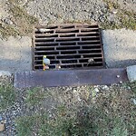 Catch Basin / Storm Drain Concerns at 56 Queen Isabella Cl SE