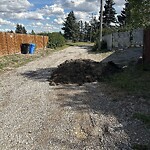 Debris on Backlane at 5128 Nesbitt Rd NW