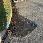 Fire Hydrant Concerns at 507 7 Av NE