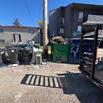 Debris on Backlane at 1431 37 St SW