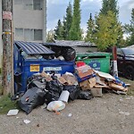 Debris on Backlane at 56 Hamlet Rd SW