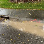 Catch Basin / Storm Drain Concerns at 176 Malibou Rd SW