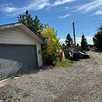 Debris on Backlane at 423 Penswood Rd SE