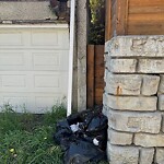 Debris on Backlane at 1915 10 St SW Upper Mount Royal