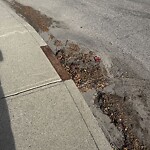 Catch Basin / Storm Drain Concerns at 3243 Alfege St SW