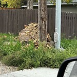 Debris on Backlane at 1804 21 Av SW