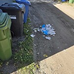 Debris on Backlane at 926 23 Av NW