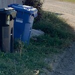 Debris on Backlane at 19 Falworth Co NE