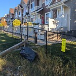 Debris on Backlane at 160 Tuscany Co NW