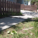 Sidewalk or Curb - Repair at 3 Castleridge Dr NE