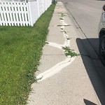 Sidewalk or Curb - Repair at 5416 Valentine Cr SE