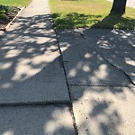 Sidewalk or Curb - Repair at 12716 Bonaventure Dr SE