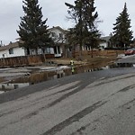 Road Repair at 10 Cedarwood Hl SW