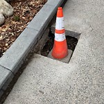 Sidewalk or Curb - Repair at 1205 Cameron Av SW