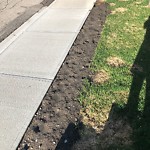 Sidewalk or Curb - Repair at 1581 38 Av SW