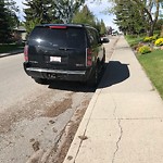 Spring Street Cleaning at 3708 35 Av SW