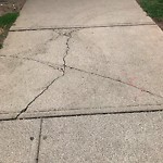 Sidewalk or Curb - Repair at 838 19 Av SW