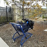 Debris on Street, Sidewalk, Boulevard at 105 Scenic Cove Ba NW