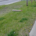 Fence or Structure Concern - City Property at Woodview Dr SW Woodbine Calgary