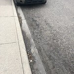 Pothole Repair at 7721 41 Av NW