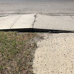 Sidewalk or Curb - Repair at 536 Shawinigan Dr SW