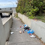 Debris on Street, Sidewalk, Boulevard at 1107 12 St SE