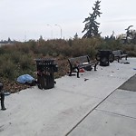 Debris on Street, Sidewalk, Boulevard at 2679 17 Av SE