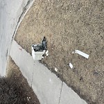 Debris on Street, Sidewalk, Boulevard at 160 Bergen Crescent NW Beddington Heights