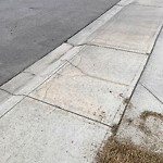 Sidewalk or Curb - Repair at 27 Silverado Skies Mr SW