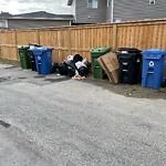 Debris on Backlane(OLD) at 1123 140 Av NW