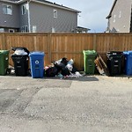 Debris on Backlane(OLD) at 1231 140 Av NW