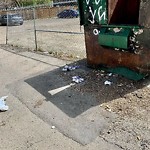 Debris on Backlane(OLD) at 536 14 Av SW