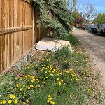 Debris on Backlane(OLD) at 109 Sundown Wy SE