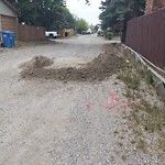 Debris on Backlane(OLD) at 3543 Cedarille Dr SW