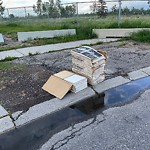 Debris on Street, Sidewalk, Boulevard at 359 Lynnview Rd SE