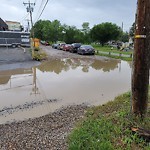 Backlane Maintenance at 332 41 Ave NE Highland Park