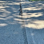 Sidewalk or Curb - Repair at 3130 66 Av SW