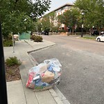 Debris on Street, Sidewalk, Boulevard at 910 Centre Av NE