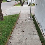 Sidewalk or Curb - Repair at 2 Inverness Pl SE