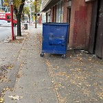 Debris on Street, Sidewalk, Boulevard at 233 Centre St S Downtown