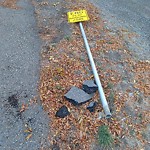 Sign on Street, Lane, Sidewalk - Repair or Replace at 1204 Mayland Dr NE