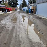 Backlane Maintenance at 2136 53 Av SW